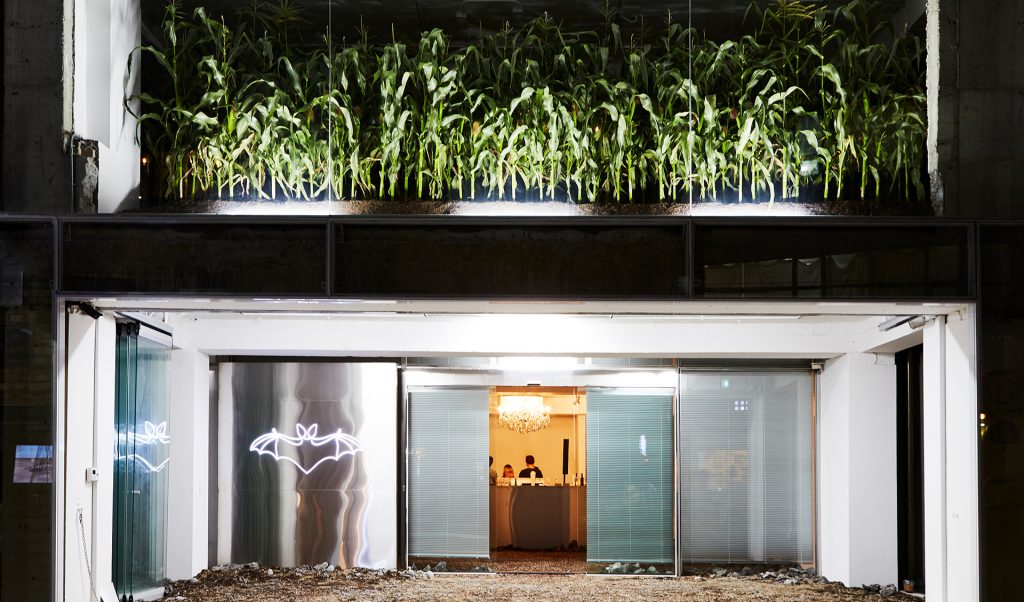 idg投资的这个韩国潮流眼镜品牌 gentle monster如何用创意颠覆零售?